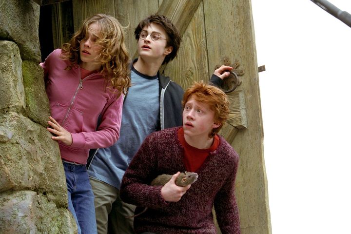 Créatures magiques - Croûtard - Figurines Harry Potter  NN7686_480
