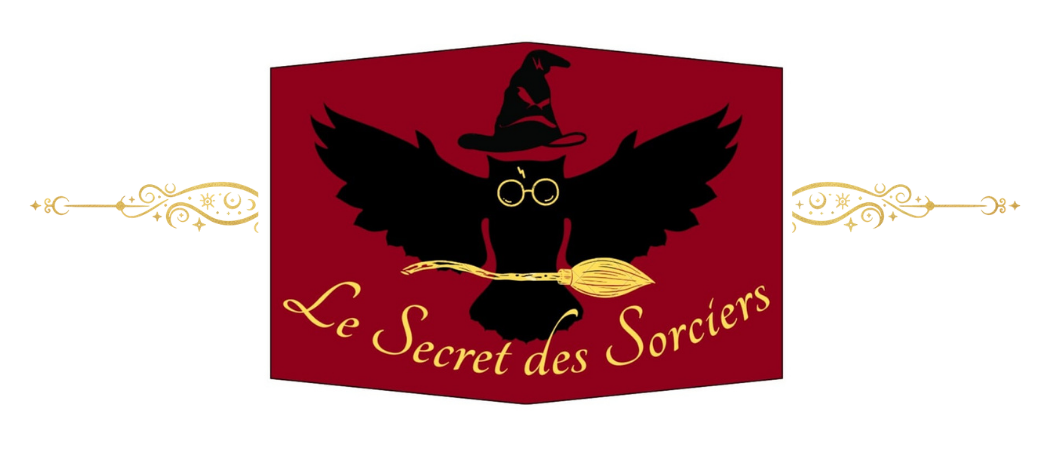 Le secret des sorciers