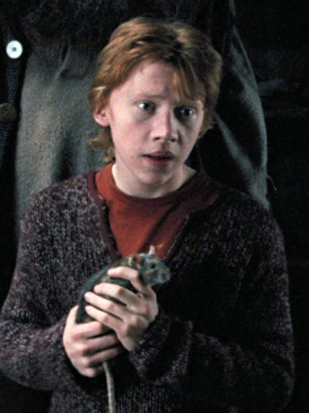 Créatures magiques - Croûtard - Figurines Harry Potter - NN7686