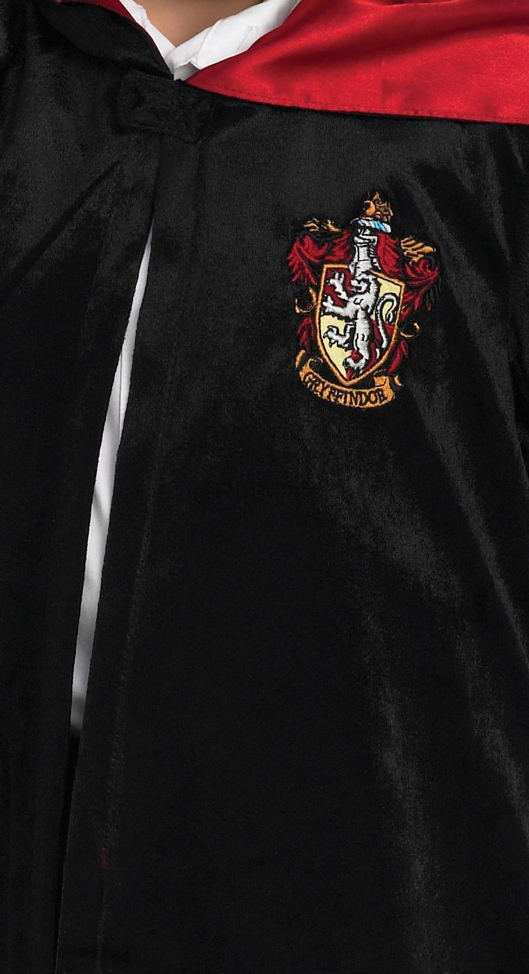 deguisement harry potter 2
