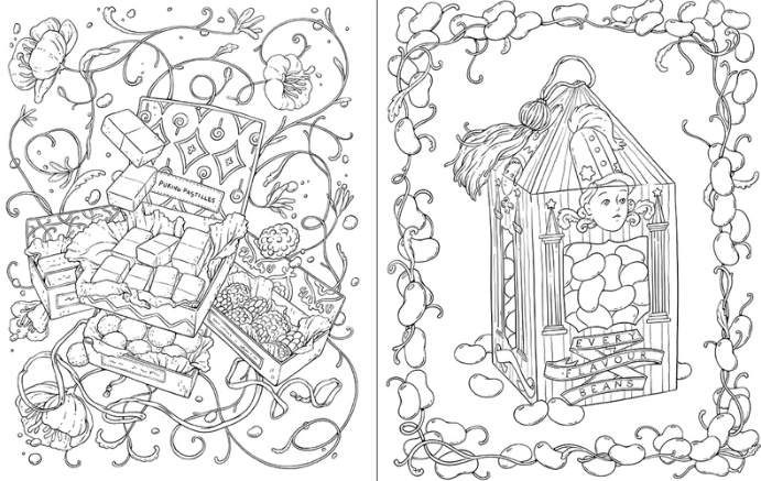 livres de coloriage honeydukes 3