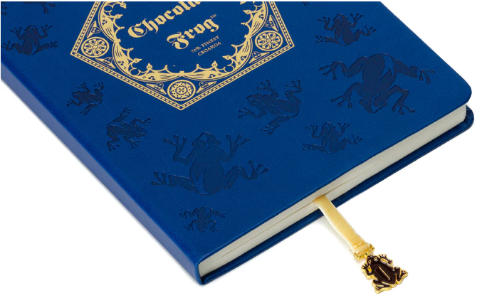 carnet chocogrenouille 2