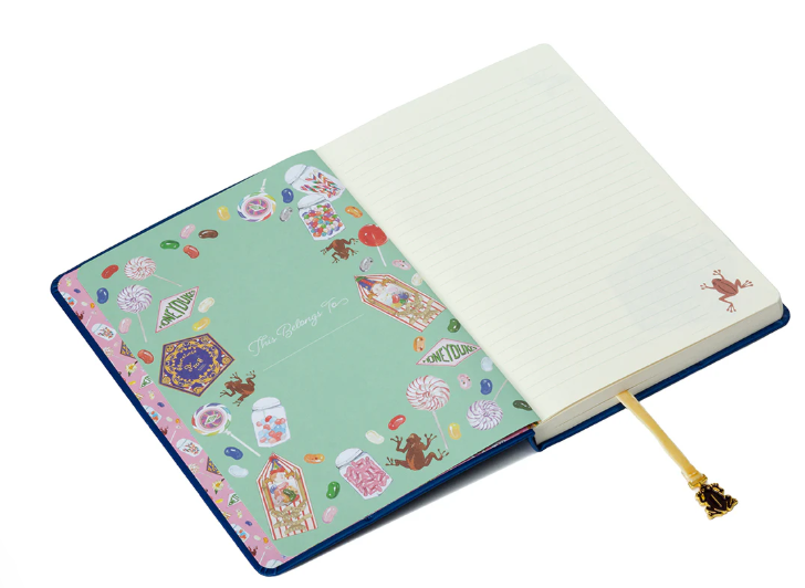 carnet chocogrenouille 3