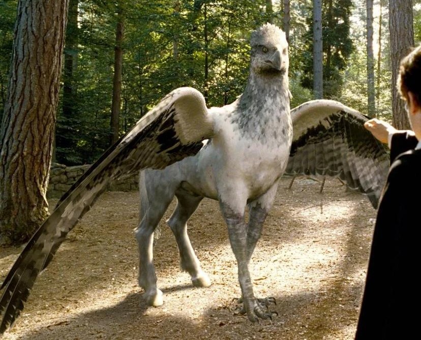 Créatures magiques - Buck l’hippogriffe - Figurines Harry Potter NN7546_480
