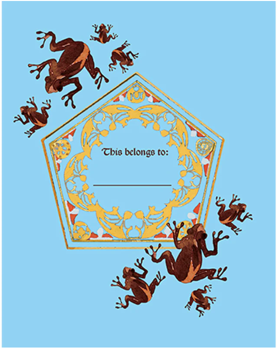 carnet squishy chocogrenouille 3