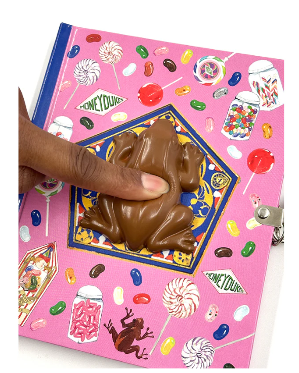 carnet squishy chocogrenouille 2