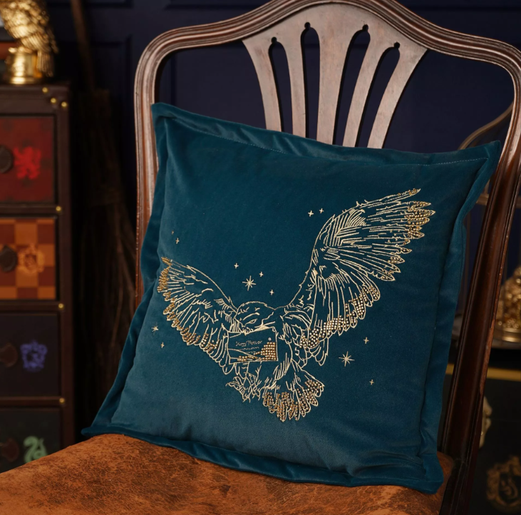 coussin velours hedwige 1
