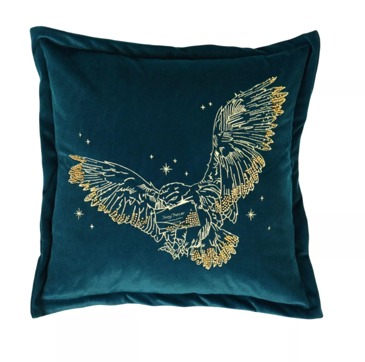 coussin velours hedwige 2