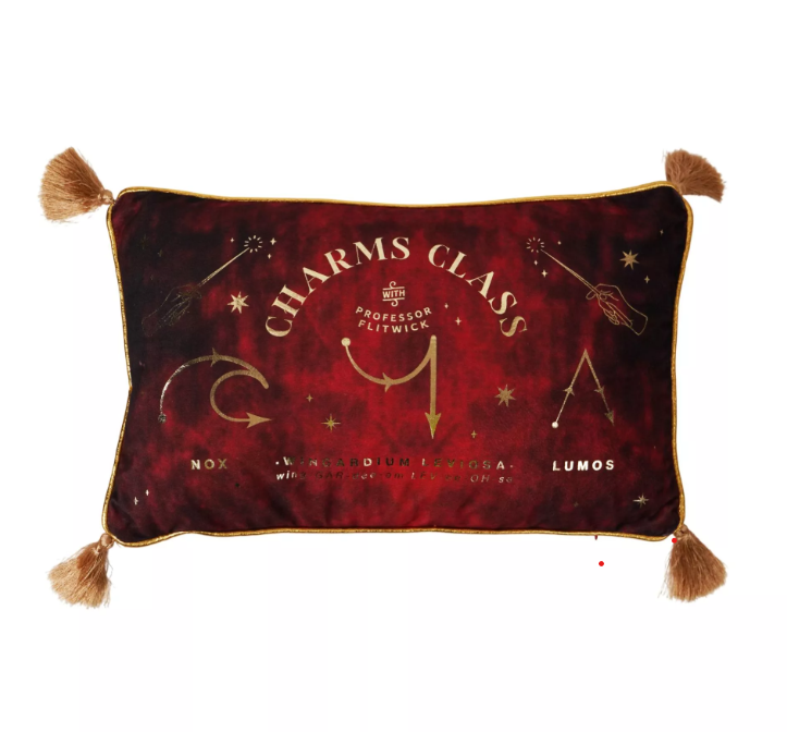 coussin en velours cours sortilege 2