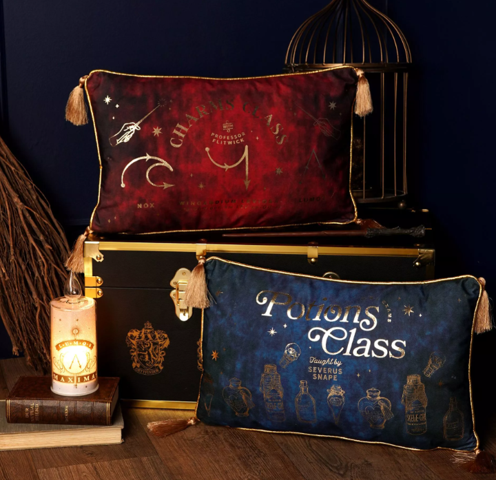 coussin en velours cours sortilege 5