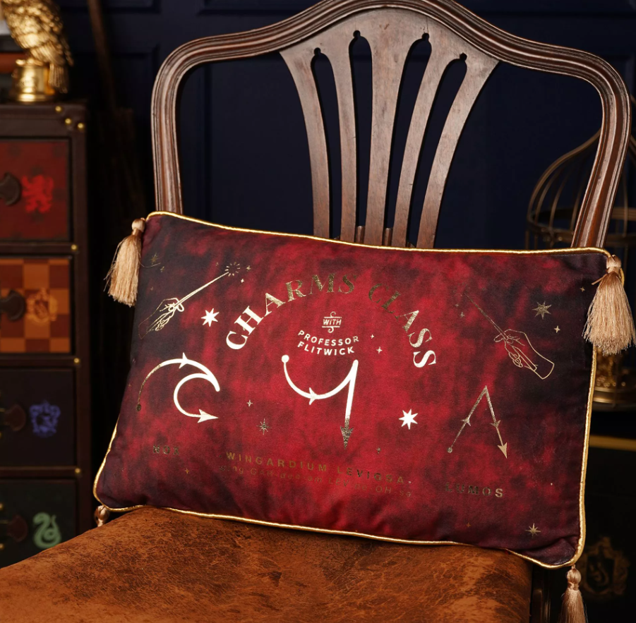 coussin en velours cours sortilege 1