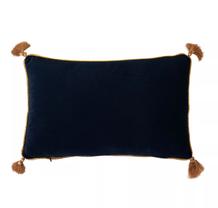 coussin en velours cours potion 4