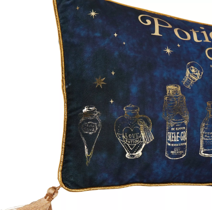 coussin en velours cours potion 3