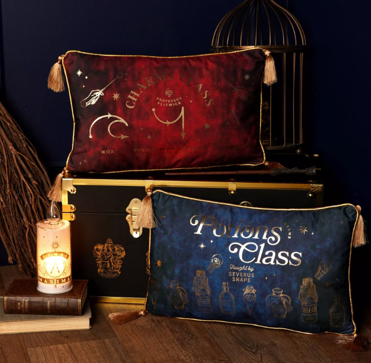 coussin en velours cours potion 5