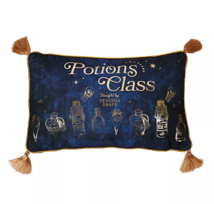 coussin en velours cours potion 2