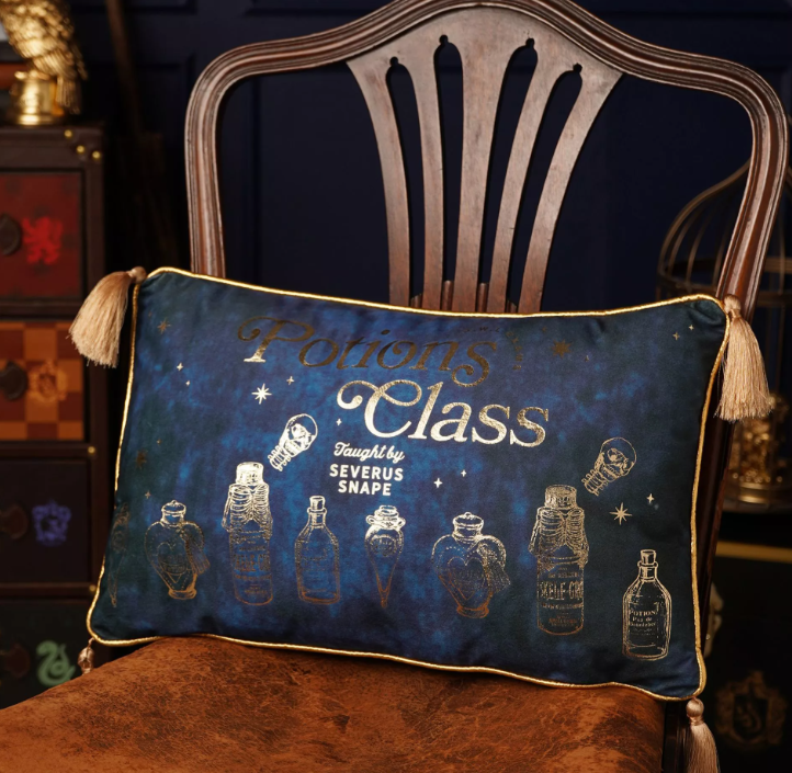 coussin en velours cours potion 1