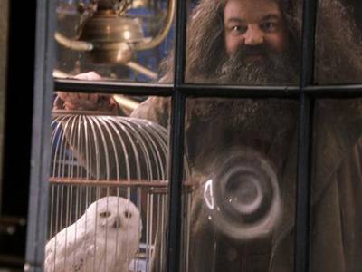 Créatures magiques - Hedwige - Figurines Harry Potter  NN7542_480