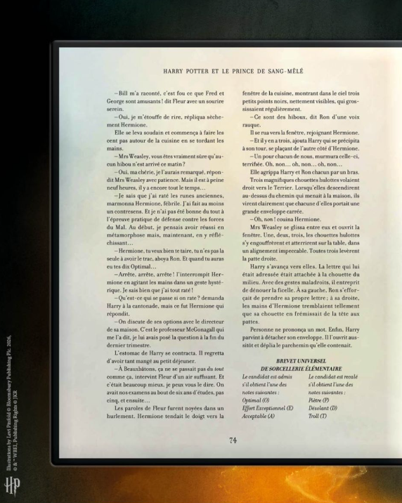 livre illustré galimard prince de sang mélée 8 octobre 4