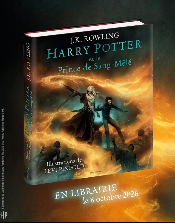 livre illustré galimard prince de sang mélée 8 octobre