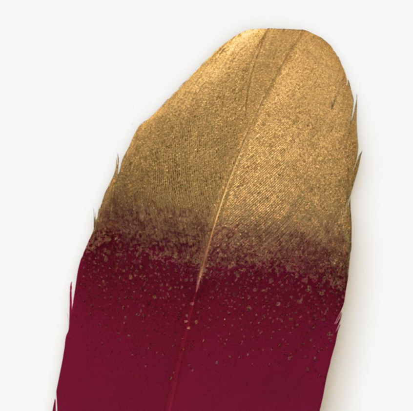 stylo plume rouge 3