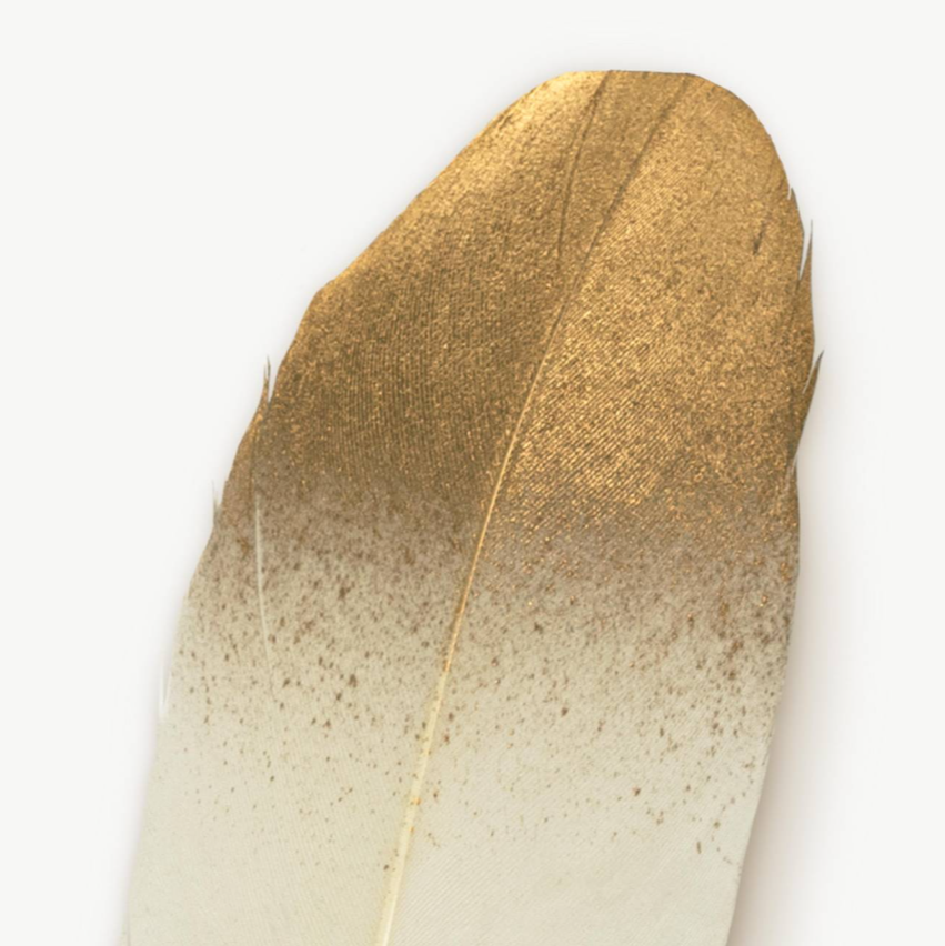 stylo plume blanche 2
