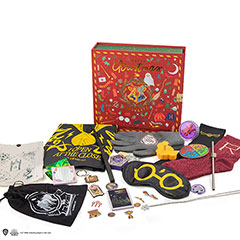 Calendrier de l’avent Deluxe 2023 Harry Potter - CR2056_VUE2_240