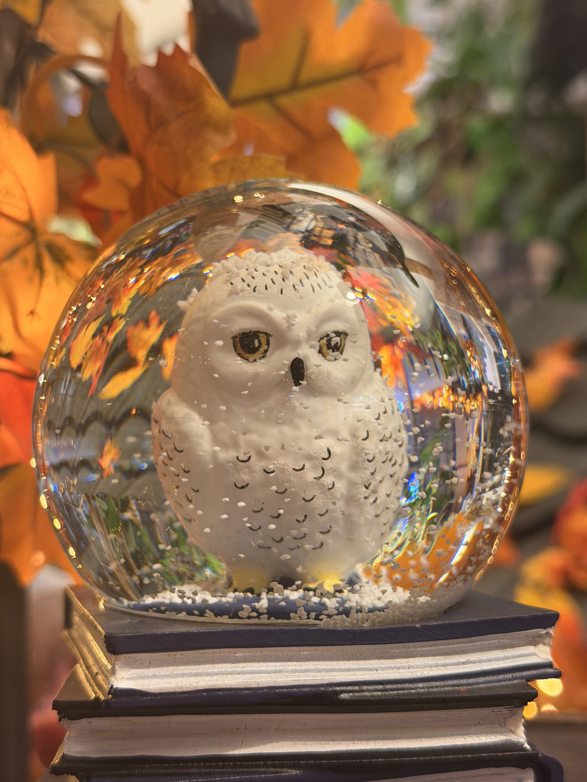 Grande_boule_à_neige_hedwige_HP24461_2