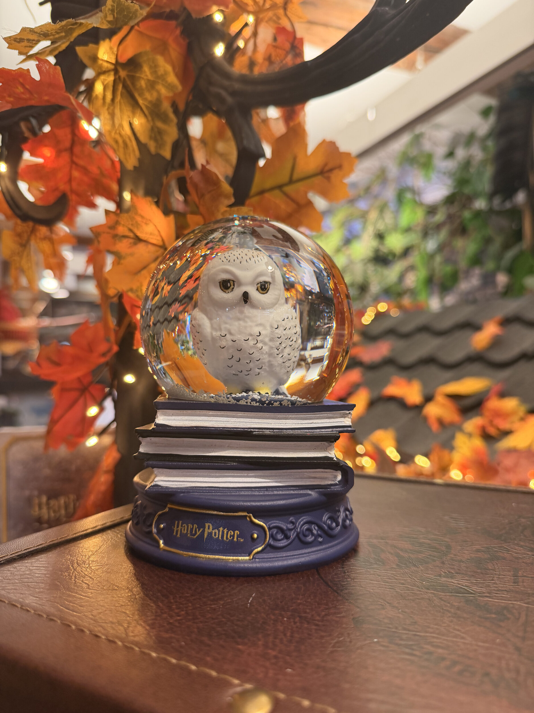 Grande_boule_à_neige_hedwige_HP24461_4