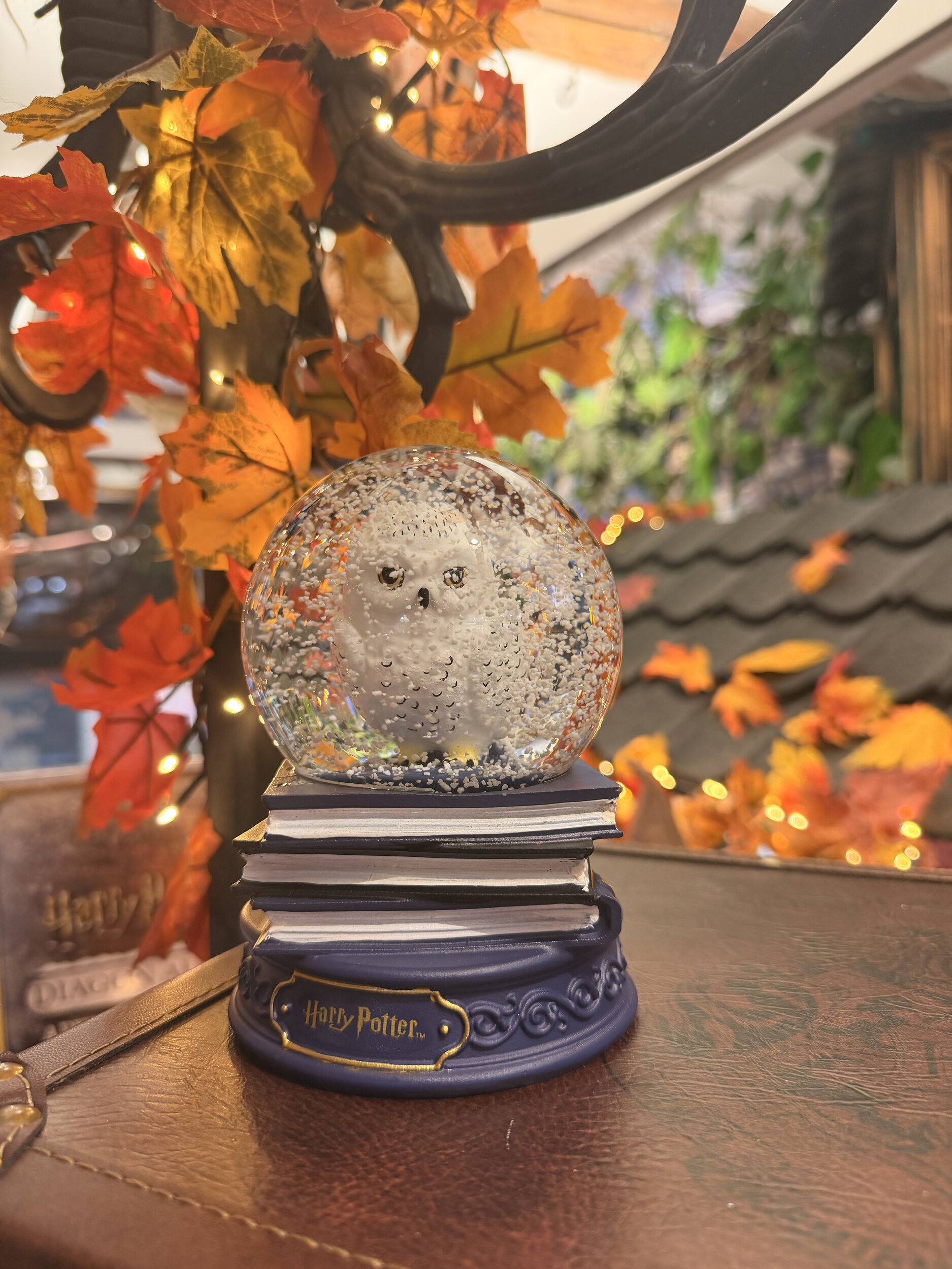 Grande_boule_à_neige_hedwige_HP24461_5