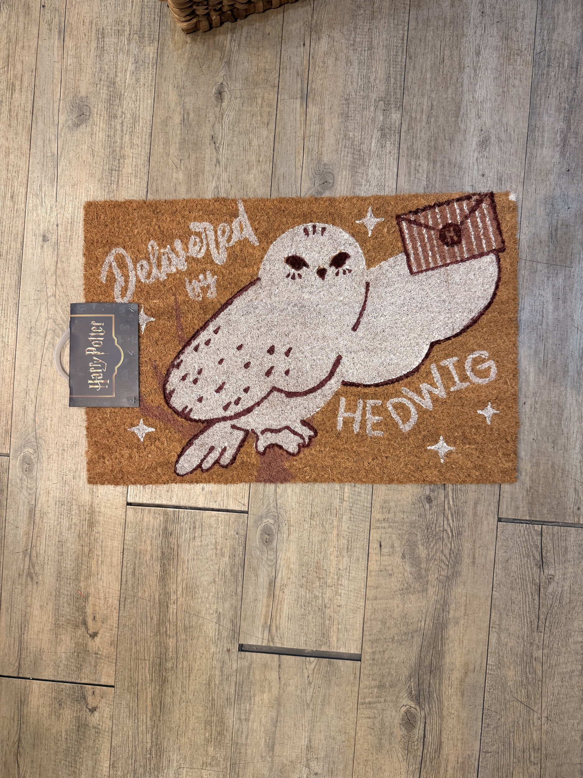 Paillasson_hedwige_HP24486_1