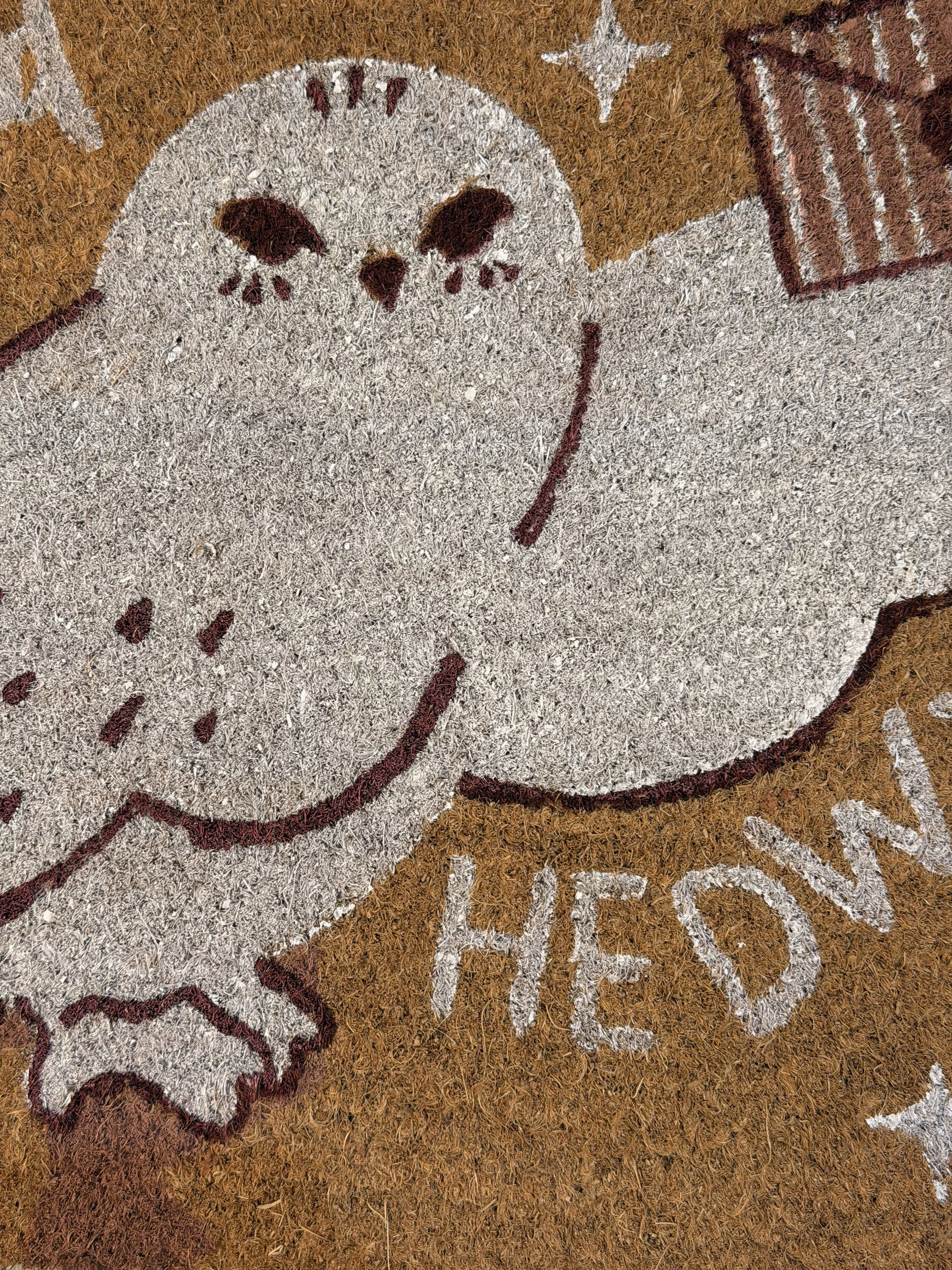 Paillasson_hedwige_HP24486_3