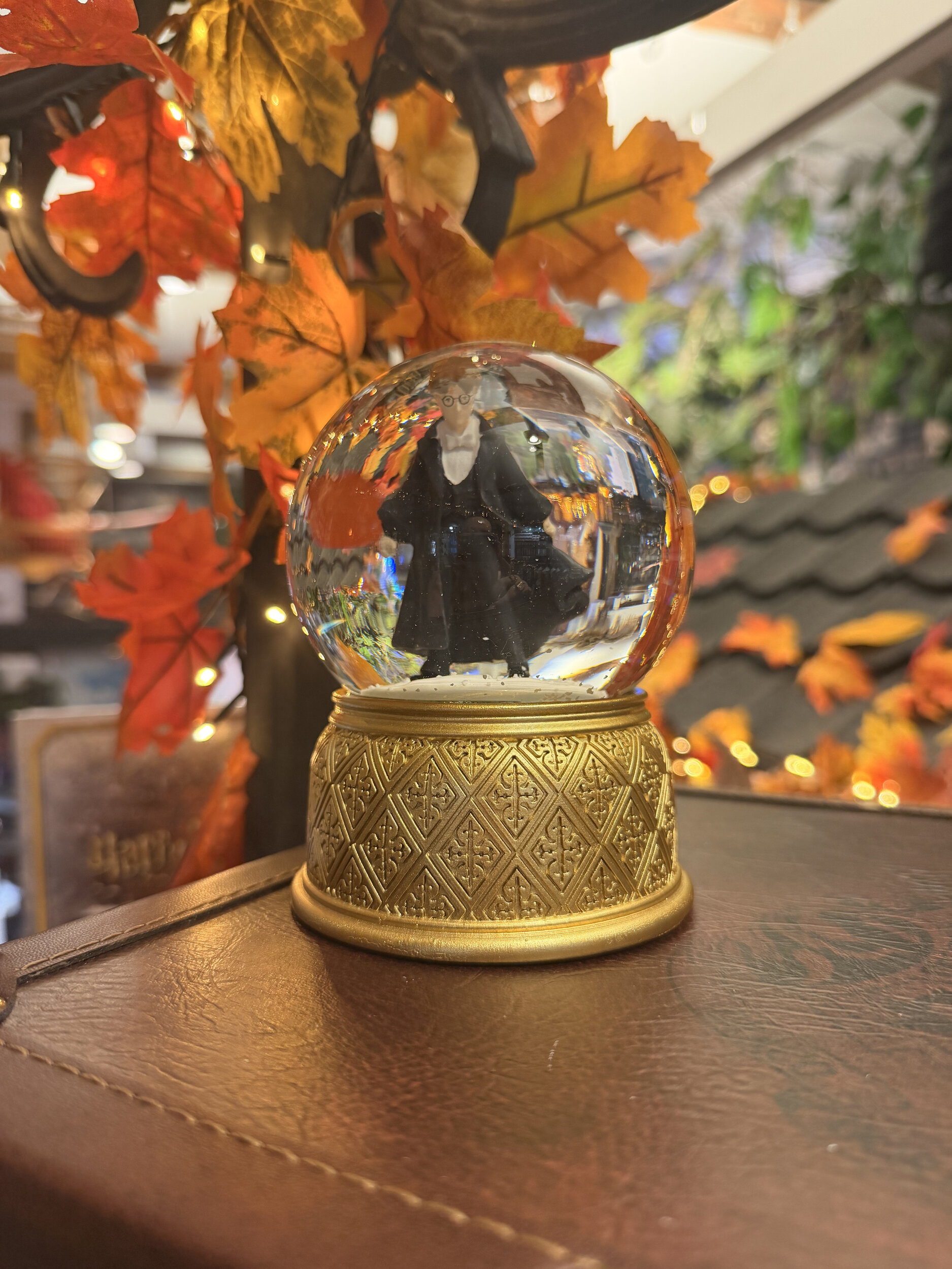 Boule_à_neige_harry_potter_HP24459_3