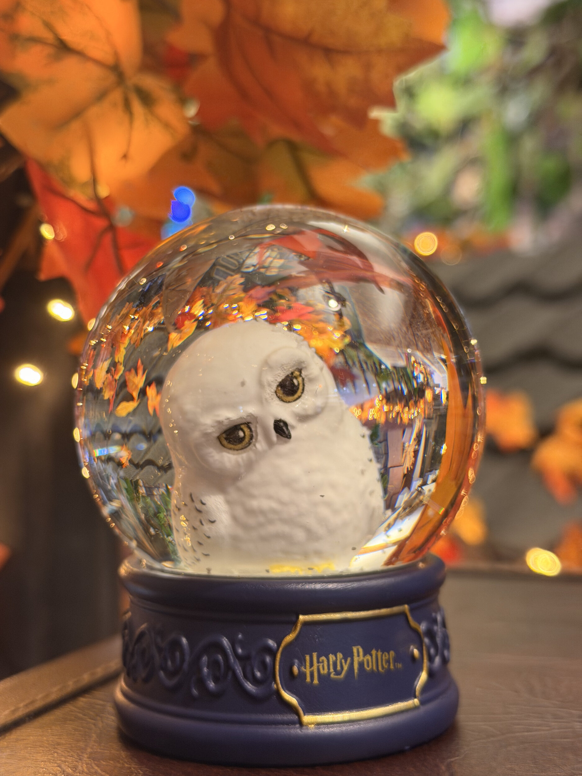 Boule_à_neige_hedwige_HP24462_2