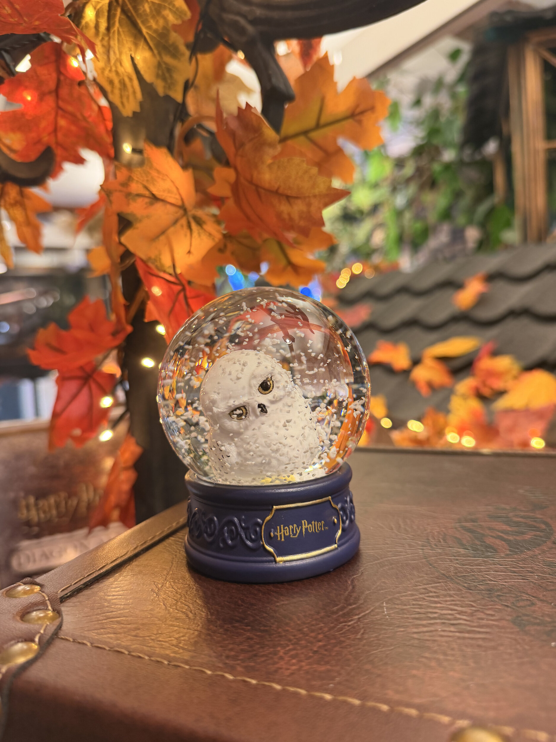 Boule_à_neige_hedwige_HP24462_3