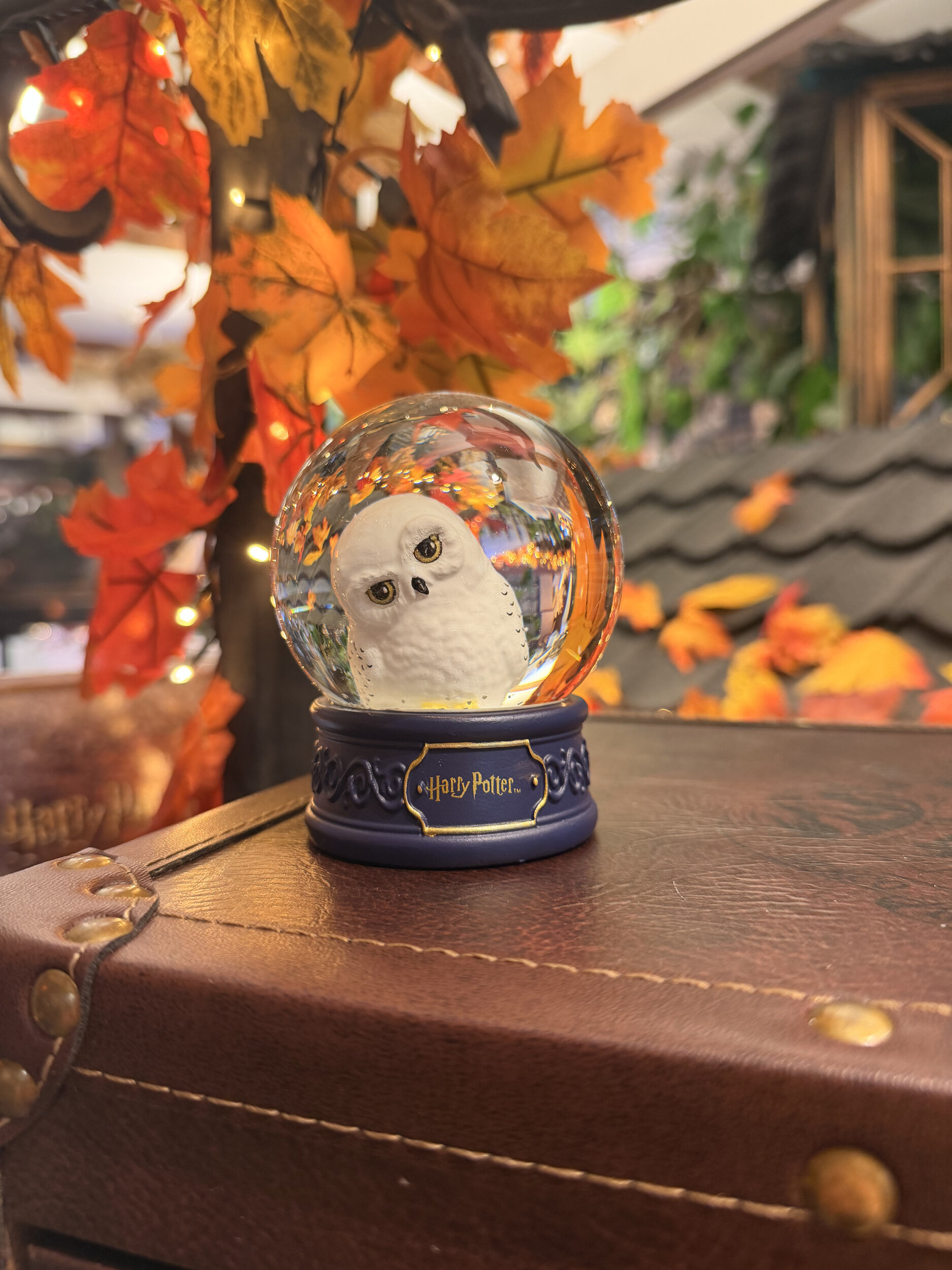 Boule_à_neige_hedwige_HP24462_5