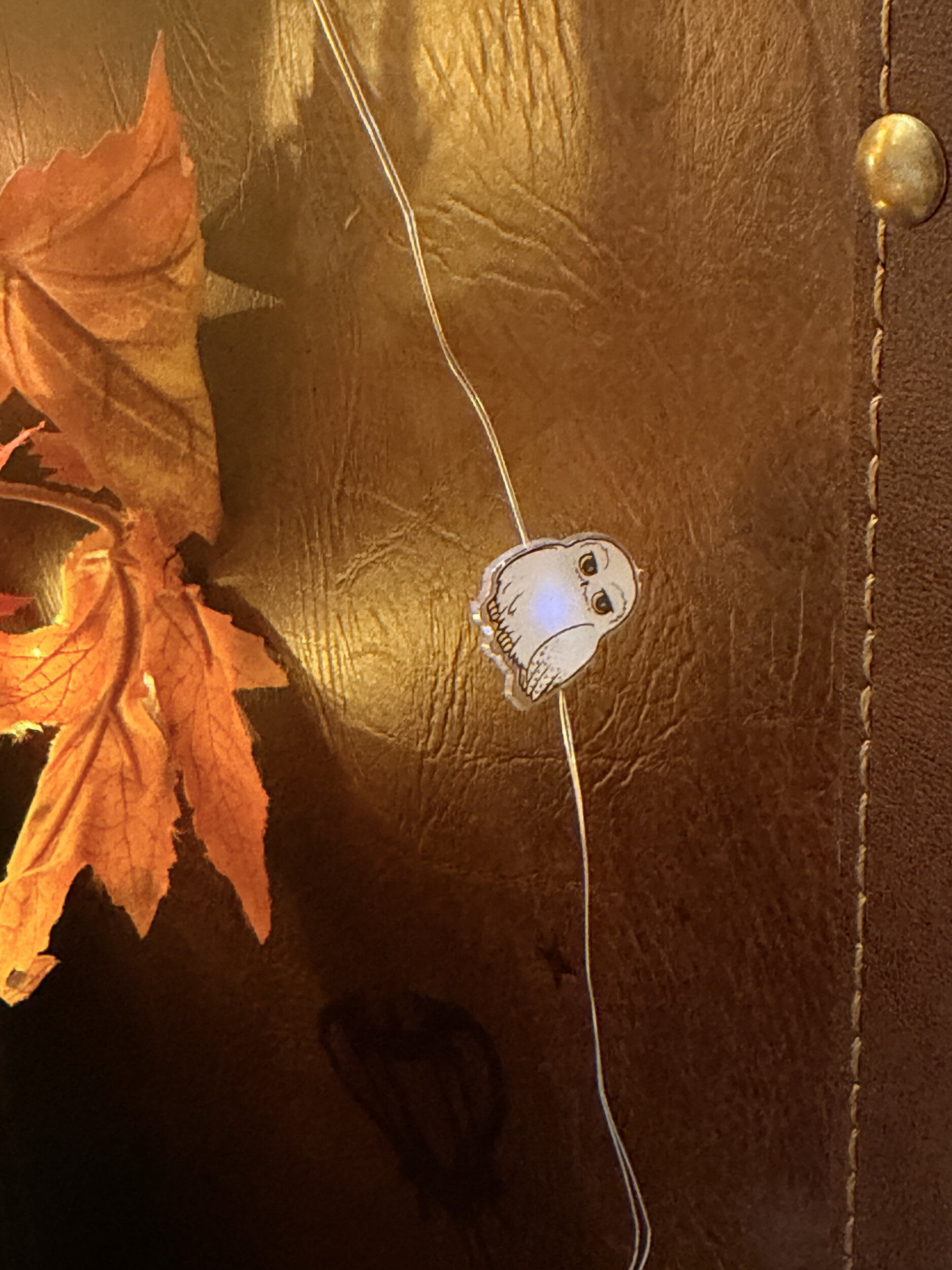 Guirlande_lumineuse_LED_Hedwige_HP24450_1