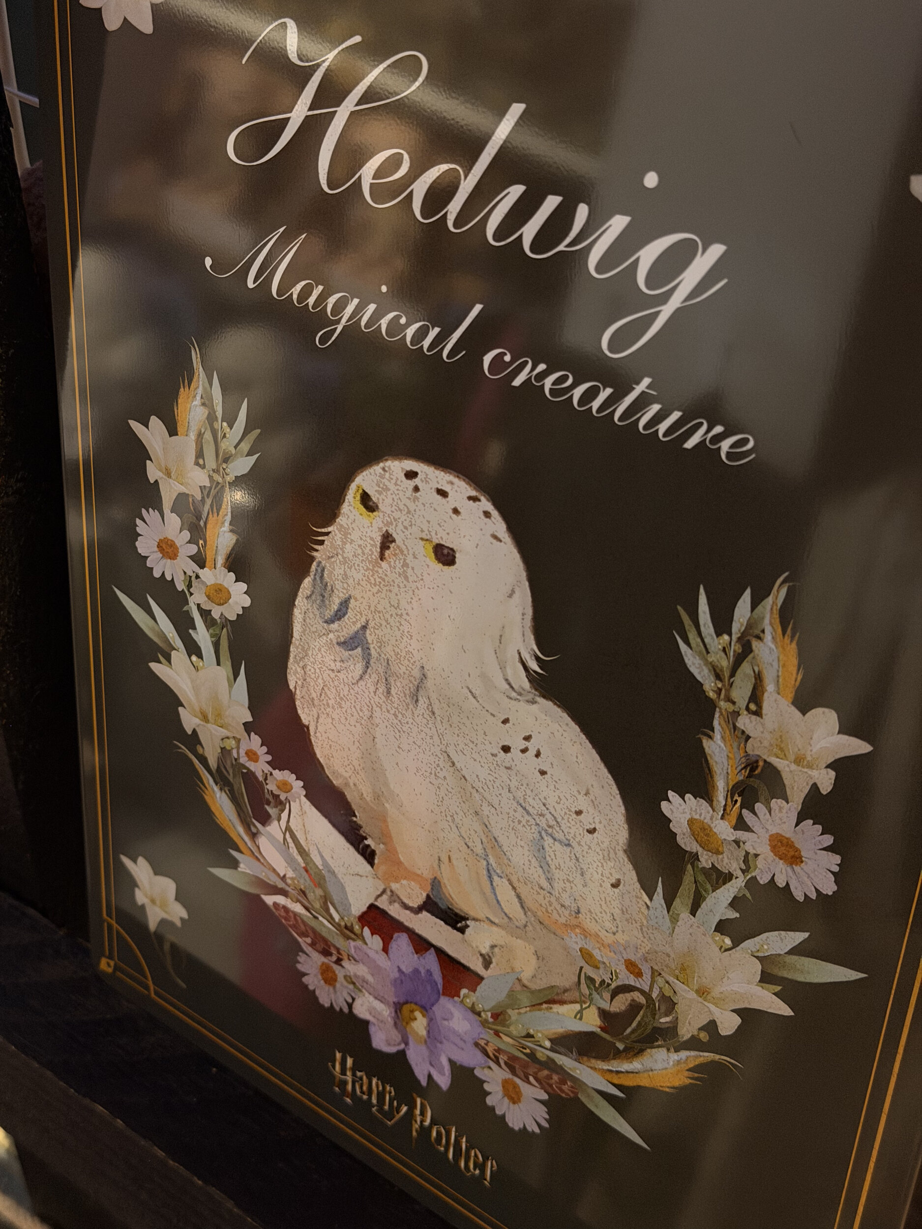Plaque_métal_de_jardin_Hedwige_HP24438_2