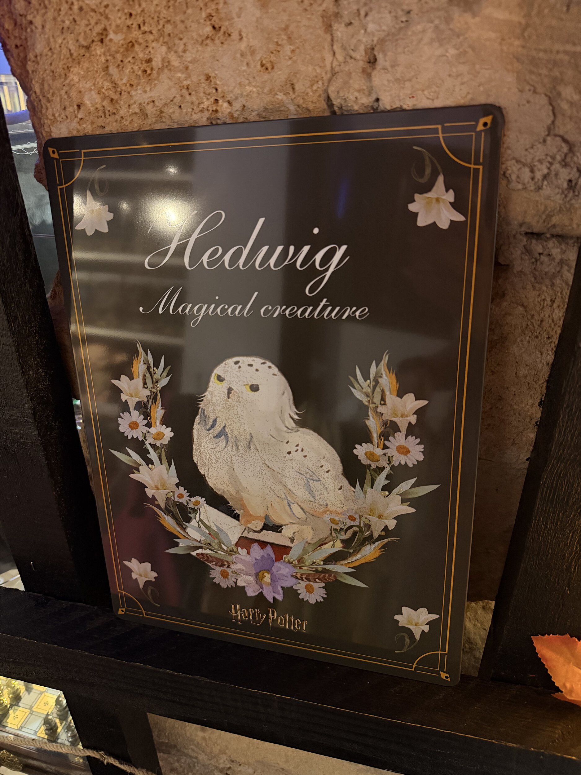 Plaque_métal_de_jardin_Hedwige_HP24438_3