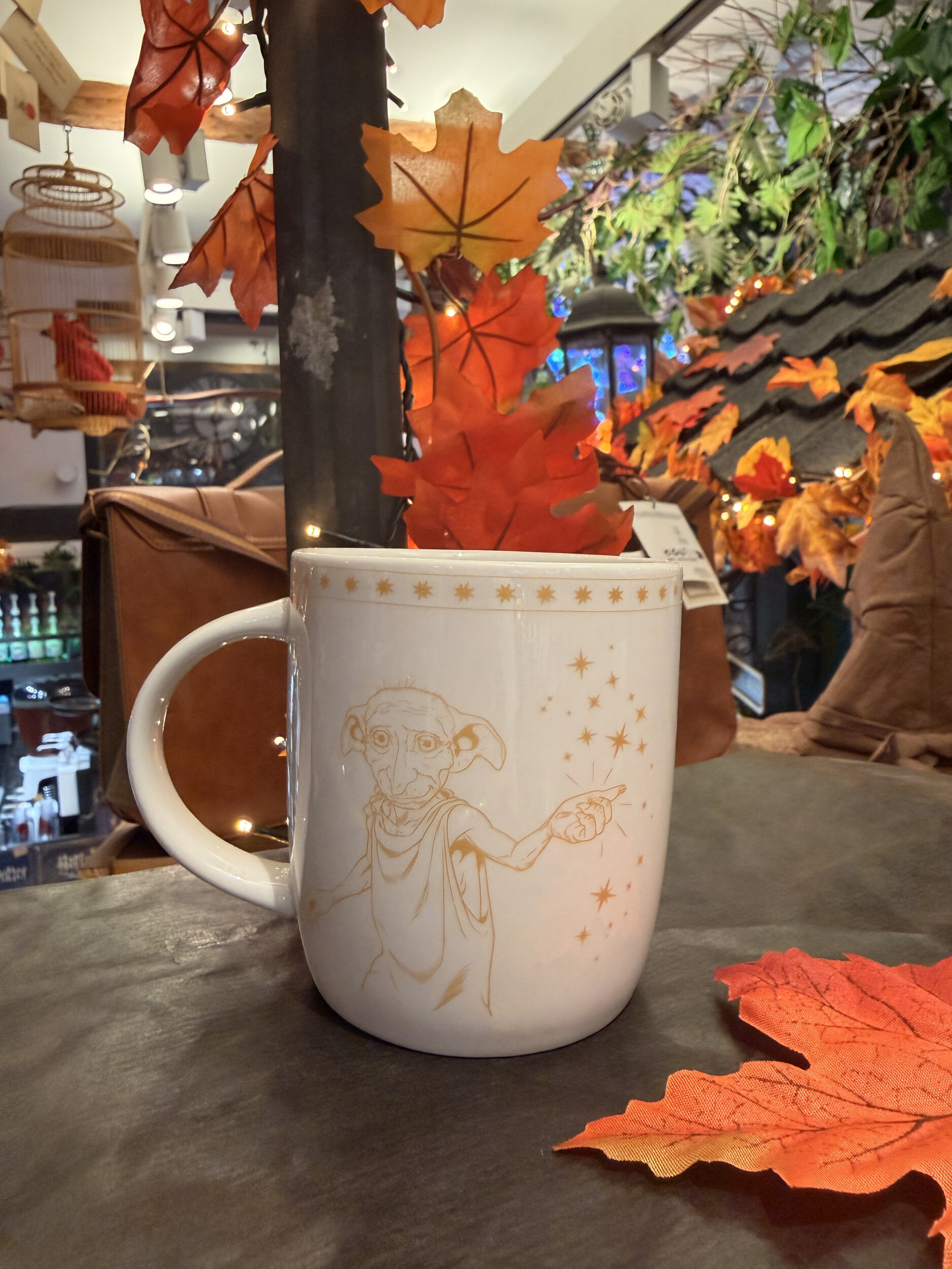 Mug_dobby_HP24411_1