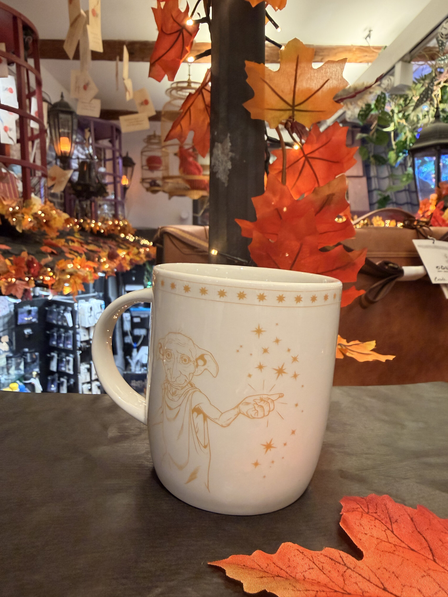 Mug_dobby_HP24411_2