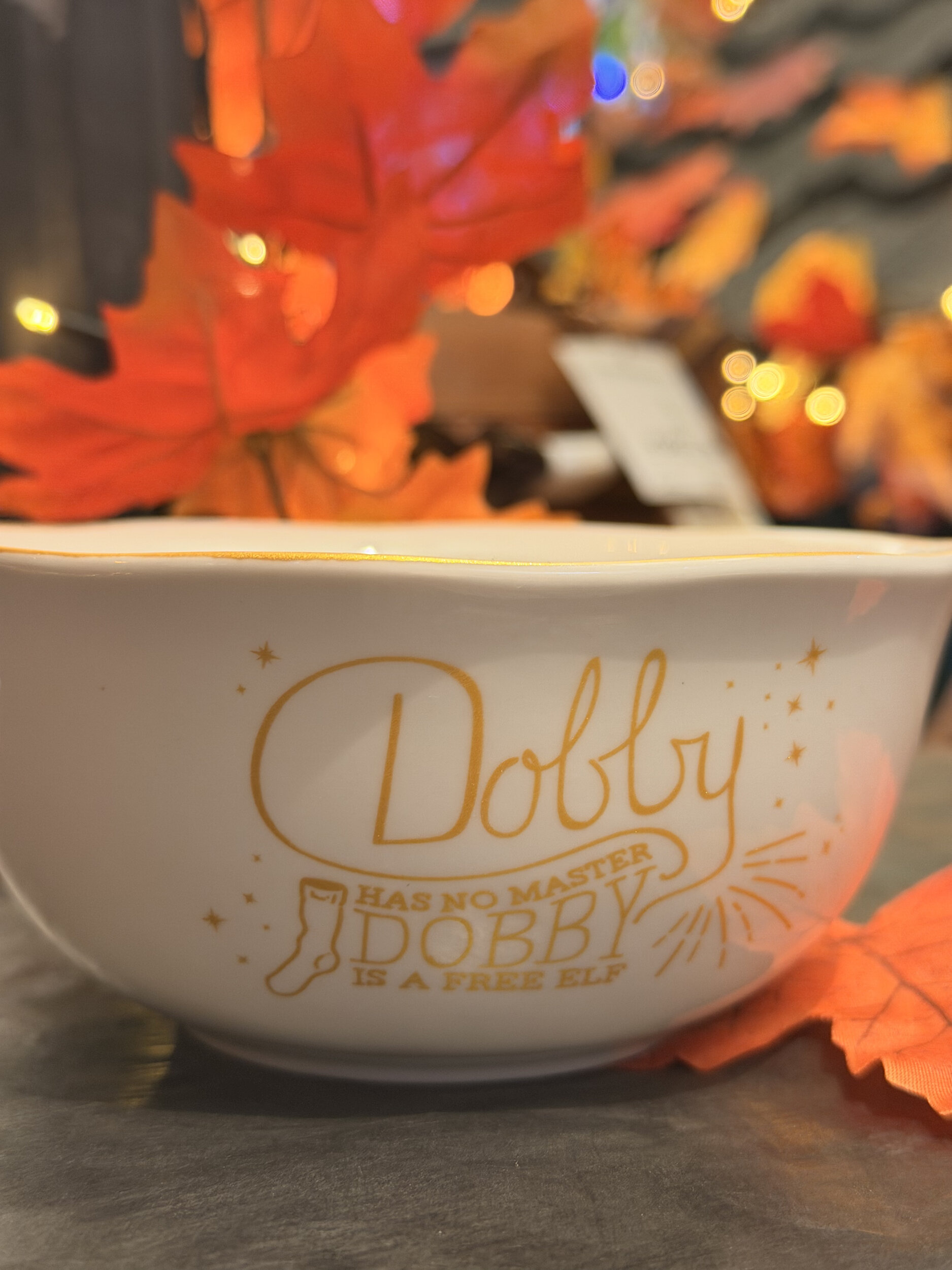Bol_Dobby_ HP24408_3