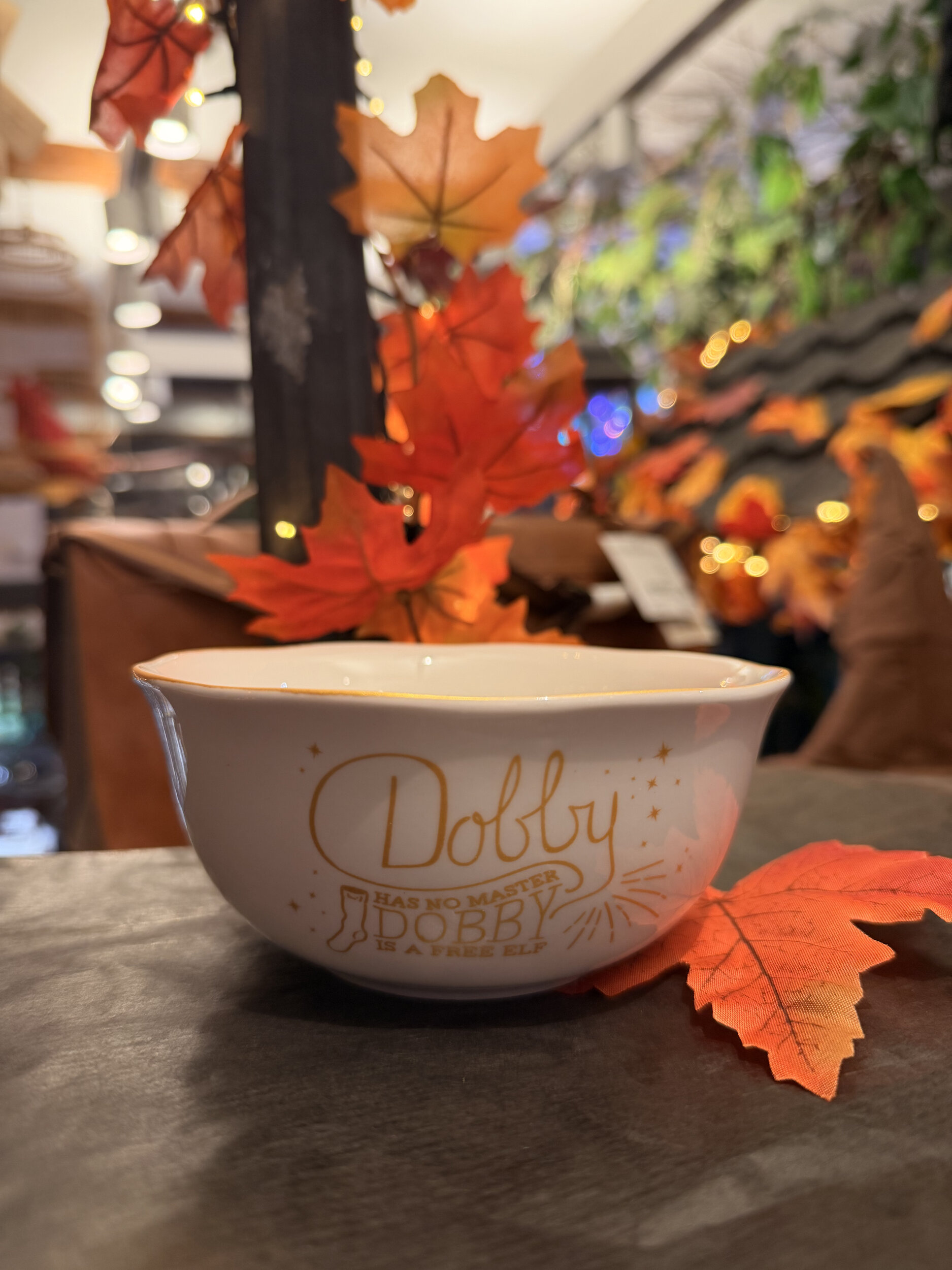 Bol_Dobby_ HP24408_1