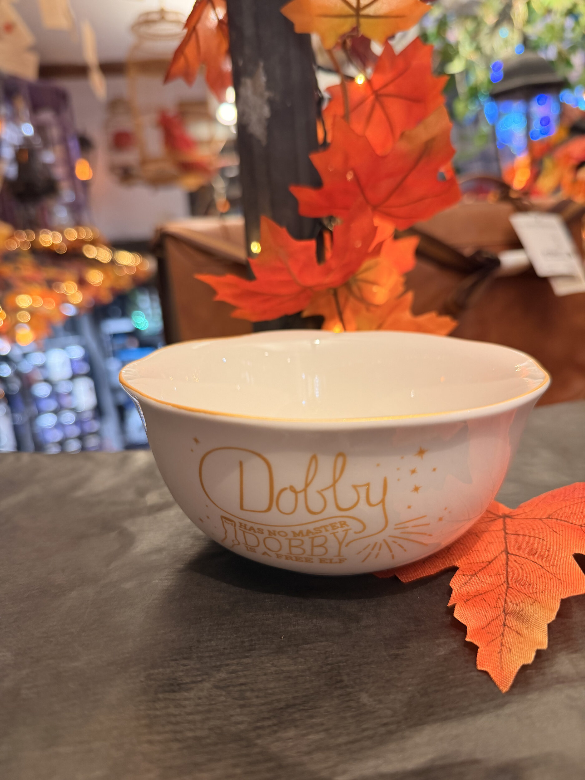 Bol_Dobby_ HP24408_2