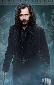 Baguette magique boîte Ollivander Sirius Black - Harry Potter - NN7081_480 (8)