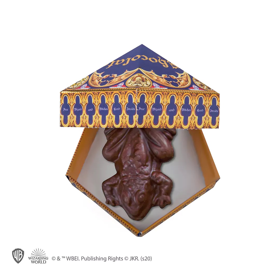 MOULE A CHOCOGRENOUILLE BOITES CARTES CR4018 3