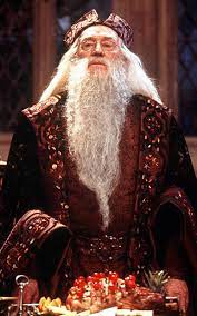 Baguette magique boîte Ollivander Albus Dumbledore - Harry Potter - NN7145