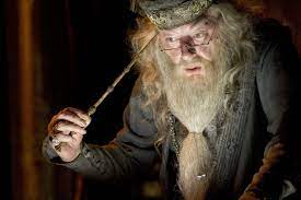 Baguette magique boîte Ollivander Albus Dumbledore - Harry Potter NN7145