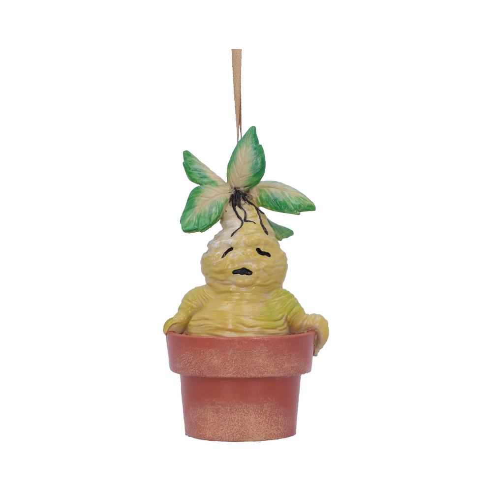 Décoration à suspendre mandragore  B5676T1 1