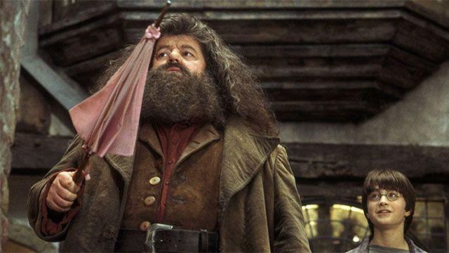 Réplique du parapluie baguette de Rubeus Hagrid - Harry Potter - NN7865
