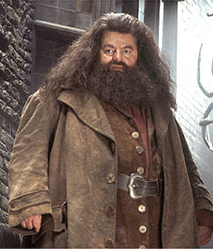 Réplique du parapluie baguette de Rubeus Hagrid - Harry Potter NN7865